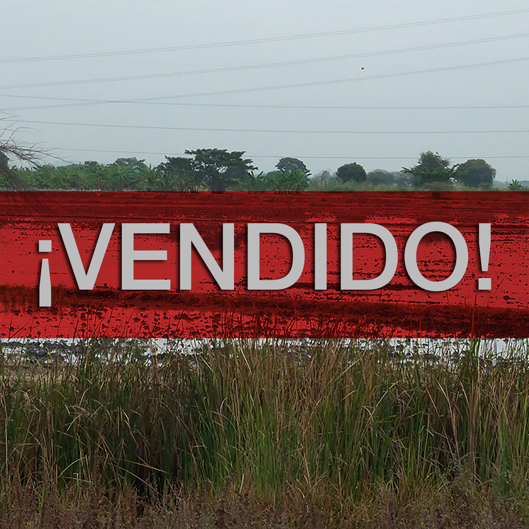 Concluido